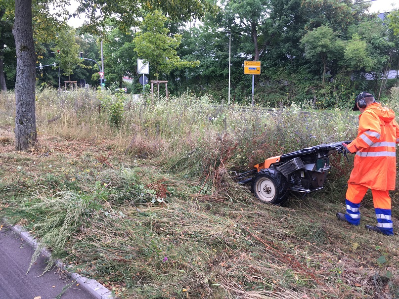 Initiative „Wir machen’s uns grüner“; Ein naturnahes Pflegekonzept für Öffentliche Grünflächen