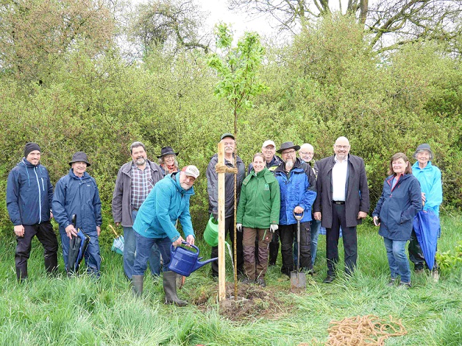 Internationaler Tag des Baumes 2025: Bühne frei für die Mispel und Kindergartenkinder aus Lindflur