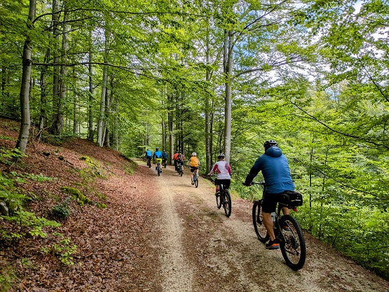 Das 5-Gänge-Radeln als E-Bike-Event: Erleben, genießen als sportlich-kulinarisches Highlight ab Bayerisch Eisenstein