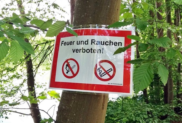 Unbekannter verursacht Feuer – doch ein Mitteiler verhindert einen Waldbrand