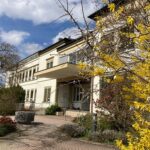 Vor den Umbauarbeiten im ehemaligen Krankenhaus Hofheim: Lebensbaum wird „umgepflanzt“