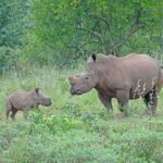 Vortrag von Autor und Journalist Hans Helmreich – Artenschutz in Zoos & der freien (?) Natur