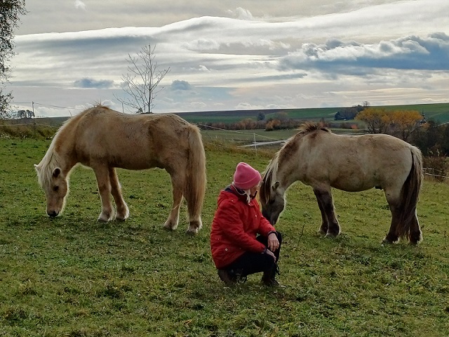 Die Akademie Barbara Stamm bietet Kurse an, dei mit Pferden und Grenzen zu tun haben