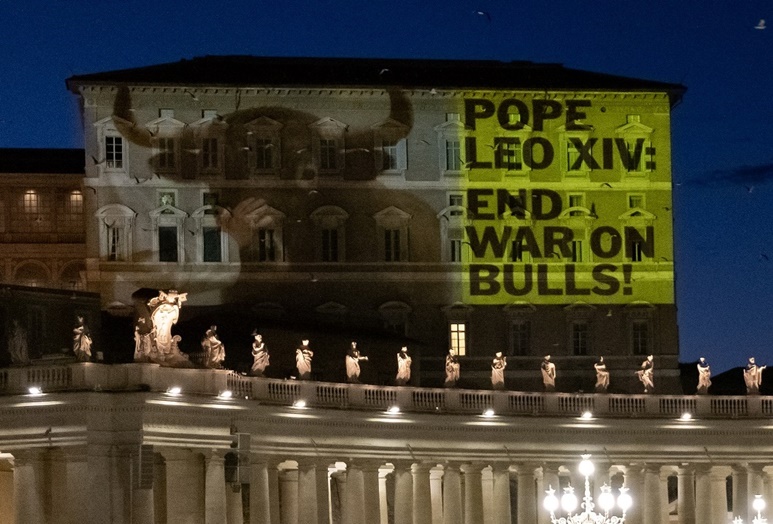 PETA und 200.000 Menschen fordern Papst Leo XIV. mit einer Großprojektion auf den Apostolischen Palast auf, den „Krieg gegen Stiere“ zu beenden