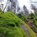 Der Diebskeller im Wald: Wo einst drei geklaute Pferde versteckt gewesen sein sollen – MIT VIELEN FOTOS!