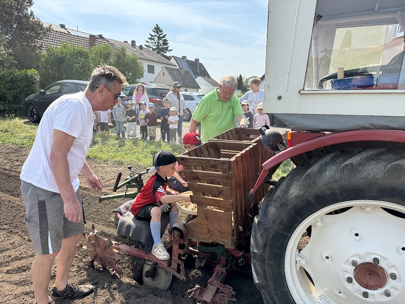 Kartoffeln gelegt: Die Ackerpatenschaft der Rafelder Kita-Kinder geht ins fünfte Jahr