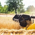 Rehkitz durch Mäharbeiten getötet: Hat der Landwirt im Vorfeld ausreichende Vorsichtsmaßnahmen getroffen?