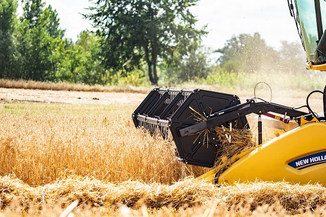 Rehkitz durch Mäharbeiten getötet: Hat der Landwirt im Vorfeld ausreichende Vorsichtsmaßnahmen getroffen?