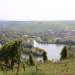 Neuer THWS-Studiengang „Kulinarik- und Weintourismus“: Bewerbungszeitraum für das Wintersemester startet jetzt