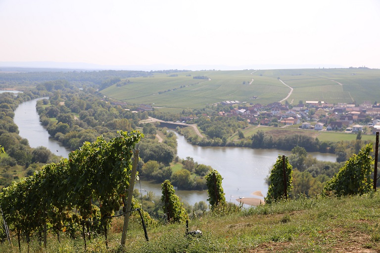 Neuer THWS-Studiengang „Kulinarik- und Weintourismus“: Bewerbungszeitraum für das Wintersemester startet jetzt