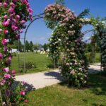 Neumarkt in der Oberpfalz blüht und lädt ein zum Oldtimertreffen