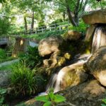 Naturführung der städtischen Umweltstation durch den Landesgartenschaupark zum Thema „Prima Klima – Bäume in der Stadt“