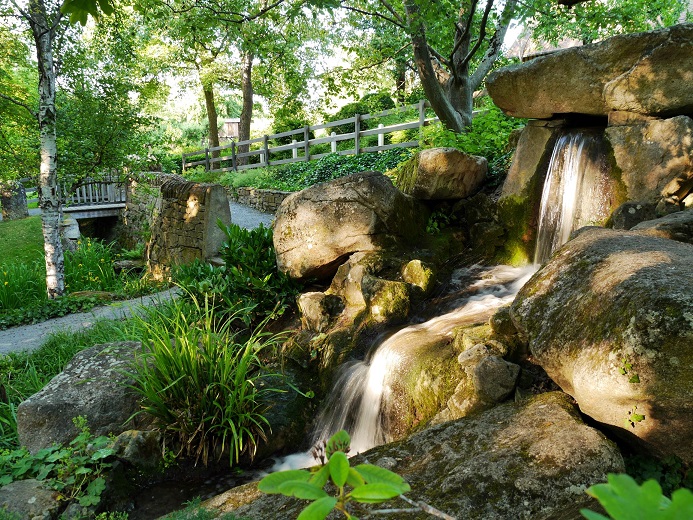 Naturführung der städtischen Umweltstation durch den Landesgartenschaupark zum Thema „Prima Klima – Bäume in der Stadt“