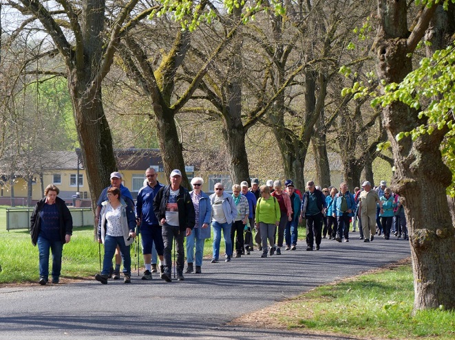 DJK-Senioren wanderten durch die Weinberge in Sommerach – und beim nächsten Mal geht´s nach Großostheim