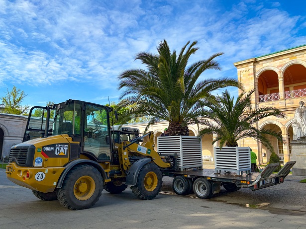 Die Kuranlagen in Bad Kissingen verwandeln sich wieder in ein farbenfrohes Blütenmeer