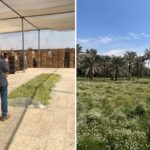 Besuche im Ursprung der Kräuter- und Früchtetees: Wie nachhaltige Lieferantenqualifizierung zum Wettbewerbsvorteil wird