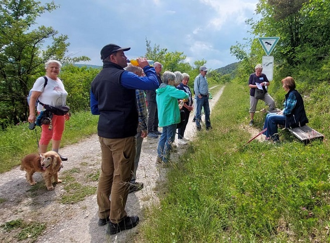 „Endlich geeignete Wanderungen für Senioren“: Diesmal ging´s von Wirmsthal durch Weinberge zum Orchideenpfad Am Haarberg