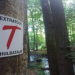 Lauf´ mal ´rum: Die Thulbataler-Extratour mit dem roten „T“ auf weißem Grund und einem Brauhaus am Wasserski-See