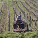 Traktor im Weinberg umgestürzt: 54 Jahre alter Fahrer quetschte sich das Bein ein