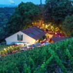 Das Frühlingsweinfest an der Schweinfurter Peterstirn ist das Highlight des kommenden Wochenendes