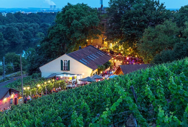 Das Frühlingsweinfest an der Schweinfurter Peterstirn ist das Highlight des kommenden Wochenendes