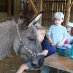 „Mit Herz, Seele und allen Sinnen“: Ein unvergesslicher Vormittag auf dem Naturland-Erlebnisbauernhof Wiesmühle