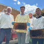 Gegenmaßnahmen sind notwendig: Die asiatische Hornisse kann für heimische Honigbienen gefährlich werden