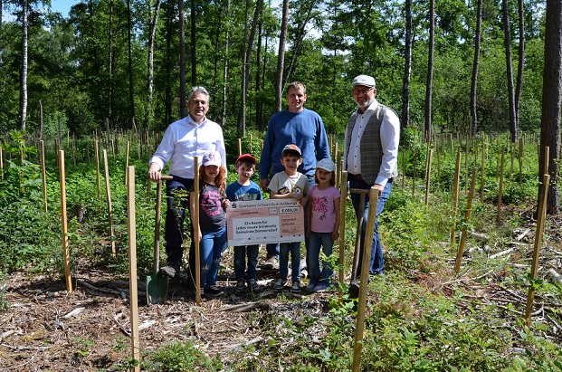 Ein Baum für jedes neue Girokonto: Sparkasse Schweinfurt-Haßberge spendet 6.000 Euro für Aufforstungen in der Gemeinde Donnersdorf