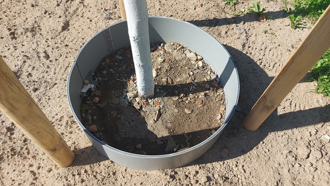 Bäume in der Hitze richtig gießen: Die Kreisfachberatung für Gartenkultur und Landespflege gibt Tipps zur notwendigen Bewässerung der wichtigen Schattenspender