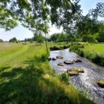 Fahr mal hin und lauf mal rum: Die Inselrunde entlang der Wiesent in Ebermannstadt – VIELE FOTOS!