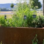 Offene Gärten 2025 im Landkreis Kitzingen: Bürger gestalten lebendige Freiräume