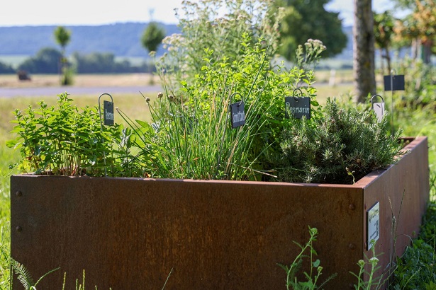 Offene Gärten 2025 im Landkreis Kitzingen: Bürger gestalten lebendige Freiräume