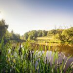 Mit allen Wassern gewaschen: Rundwege am Wasser bieten erfrischendes Wandervergnügen im Oberpfälzer Wald