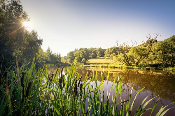 Mit allen Wassern gewaschen: Rundwege am Wasser bieten erfrischendes Wandervergnügen im Oberpfälzer Wald