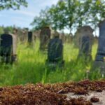 Fahr mal hin und lauf mal rum: Der Jüdische Friedhof bei Ermershausen – VIELE FOTOS!