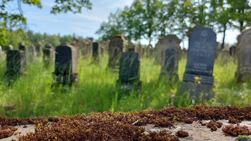 Fahr mal hin und lauf mal rum: Der Jüdische Friedhof bei Ermershausen – VIELE FOTOS!