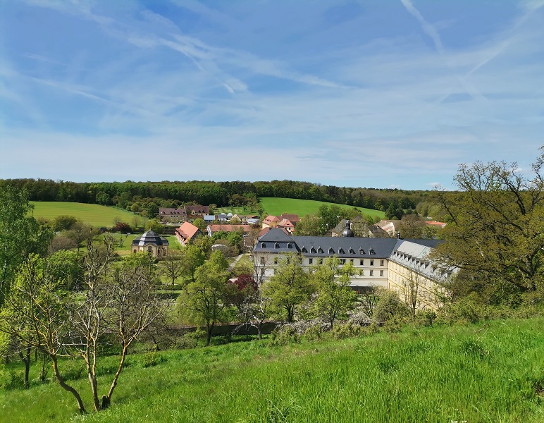 Die Kraft der Natur entdecken: Ausbildung zum Wald- und Naturcoach an der Akademie Barbara Stamm