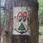 Fahr´ mal hin und lauf´mal ´rum: Der Meininger mit einem Schloss, einer Burgruine und guter Aussicht