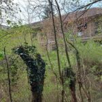 Zwei Tage, zwei Feuer: Erneuter Brandausbruch im ehemaligen Kinderkurheim in Bad Kissingen