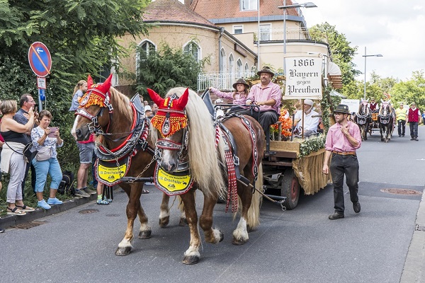 Für den historischen Festzug am traditionsreichen Rakoczy-Wochenende werden Pferdegespanne gesucht