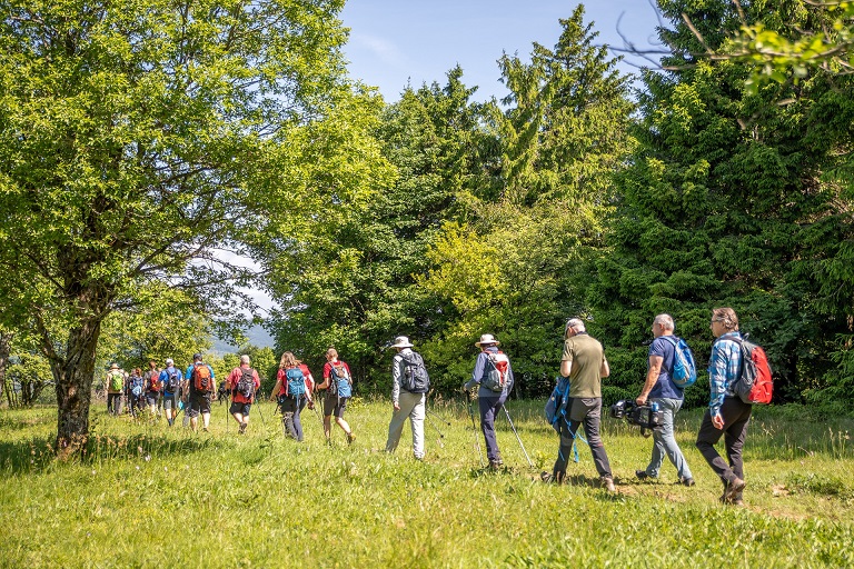 Großer Andrang bei BR-Wandertouren 2025 in der Rhön: Gäste erleben pure Wanderlust