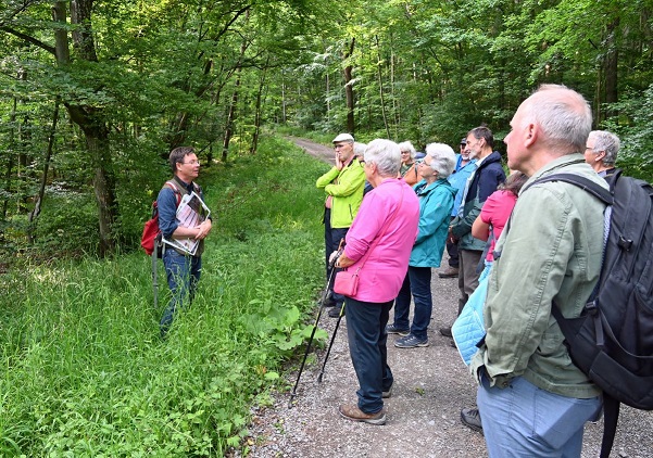 Exkursion mit Stadtförster Karl-Georg Schönmüller im Steinbachtal: Der Stadtwald kühlt Würzburg runter