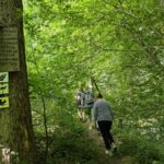 Lauf mal rum und kehr mal ein: Wandern nach Sailershausen durch das Wässernachtal von Wülflingen aus