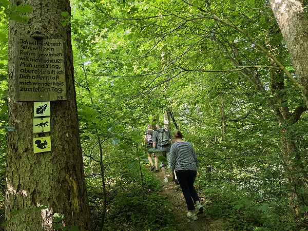 Lauf mal rum und kehr mal ein: Wandern nach Sailershausen durch das Wässernachtal von Wülflingen aus