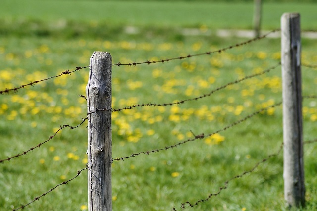 Gefahr für den Straßenverkehr durch vorsätzlich beschädigten Weidezaun