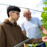 Start ist ab sofort direkt im Weinberg: Frankens neuer Weg in der Winzerausbildung