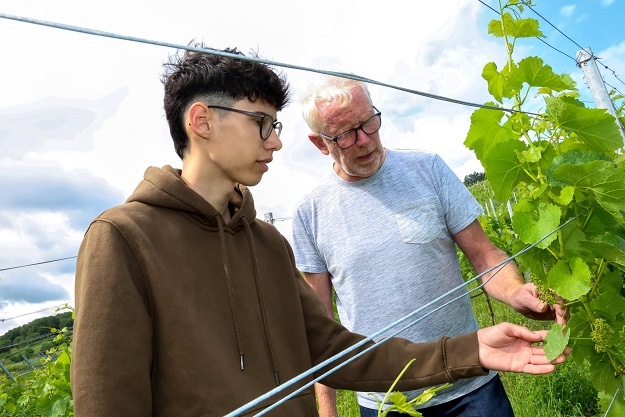 Start ist ab sofort direkt im Weinberg: Frankens neuer Weg in der Winzerausbildung