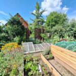 Kreisverband für Gartenbau und Landespflege Haßberge: Wettbewerb „Naturnaher Garten“ und Förderung von Klimabäumen