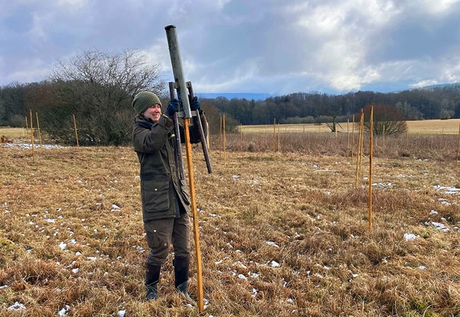 Partnersuche mit Überblick: Untere Naturschutzbehörde und Naturpark unterstützen Wiesenbrüter mit rund 950 Ansitzwarten