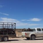 1760 Kilo zu viel auf der Autobahn: Kleinbus-Gespann auf der A 3 war komplett überladen